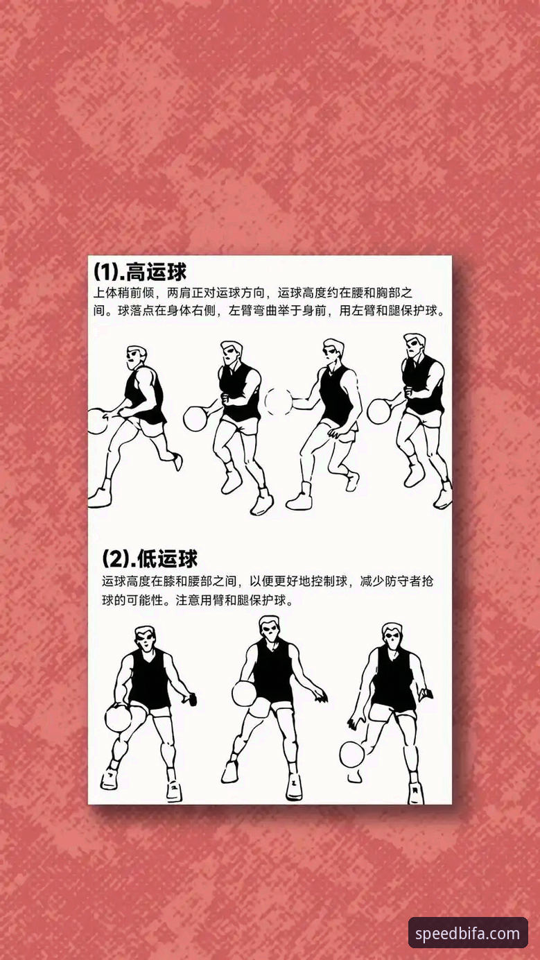 必发体育体育爱好者操作教程：从入门到精通的实战指南